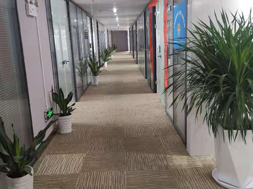 广州公司注册